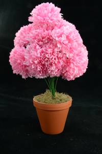 Pink Carnation-Mum Bush x12  (Lot of 1) SALE ITEM
